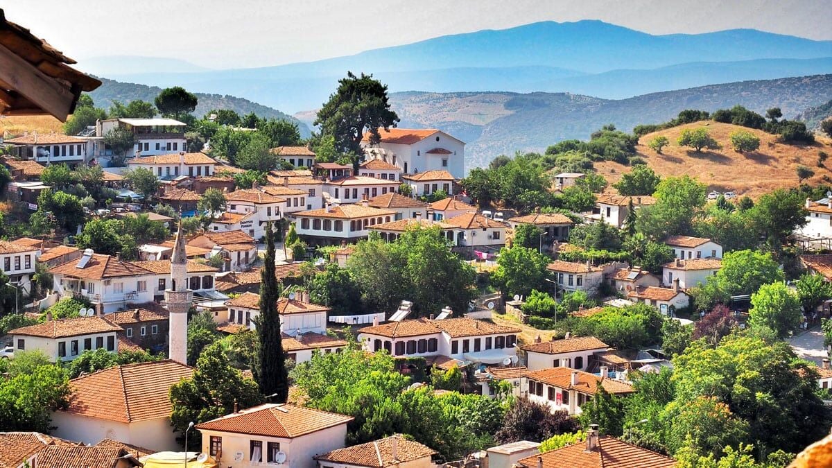 Şirince’nin Sessiz Kahramanları: Zeytin Ağaçları ve Toprağın Mucizesi